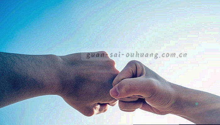手机和电视图标组合